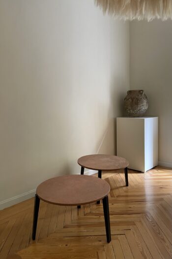 Mesa Elena